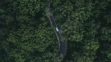 Eine Straße umzingelt von Bäumen auf der ein weißes Auto fährt